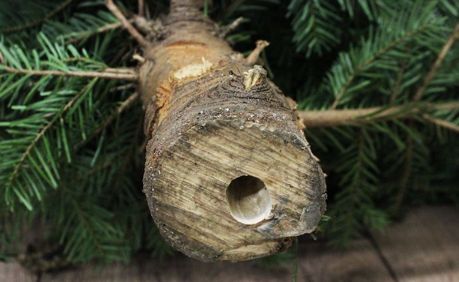 Ingeboorde kerstboom voor plaatsing op EASYFIX standaard